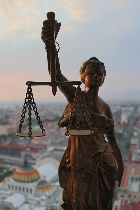 The Role of Lawyers in the Legal System